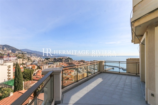 Apartment mit Blick über Monaco