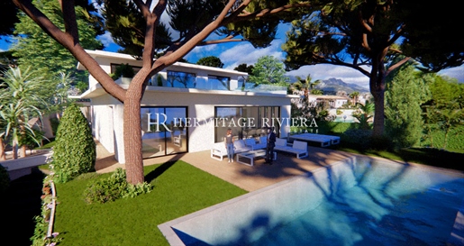 Project for modern villa calm close Monaco