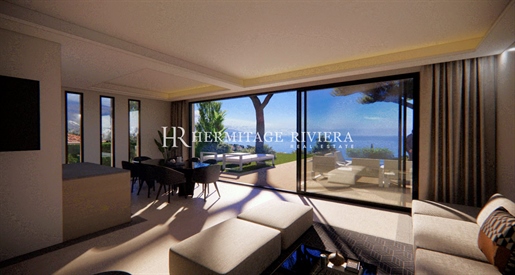 Project for modern villa calm close Monaco