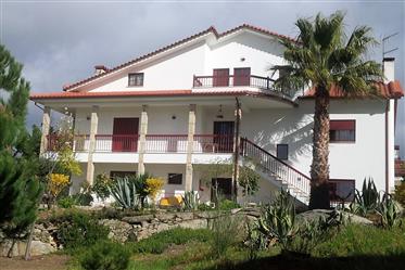 Villa med vingården, oliven og mandel plantage