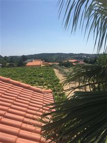 Vila s vinice, olivové a mandľové orchard