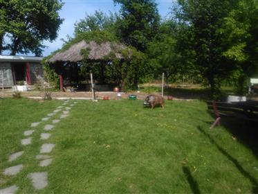 Hus + jord nær padurea Sacaseni Satu Mare