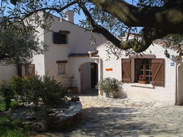 Фамилна къща с басейн в маслинова гора и студио