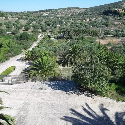 Villa, 300m² Kitsi, Koropi (Athens - East)