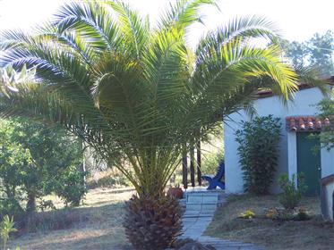 Quinta/Holiday Cottage-Casa Rustico with guest house in the Centre of Portugal