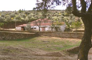 Инвестиционный проект загородные дома в Penedono