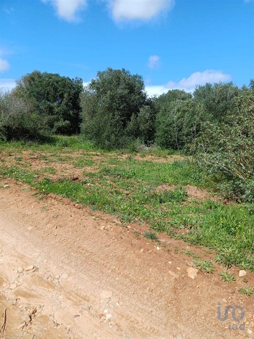 Terreno T1 em Barão de São Miguel de 3520,00 m²