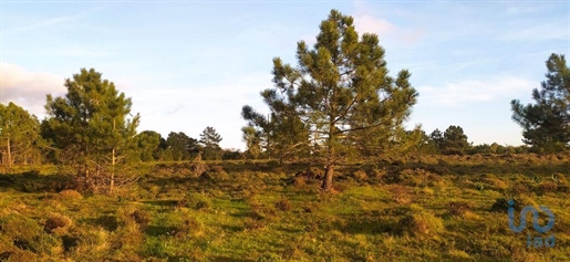 Terrain T1 à Vila do Bispo e Raposeira de m²