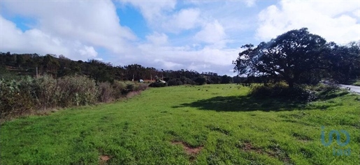 Tierra de ocio en el Faro, Vila do Bispo