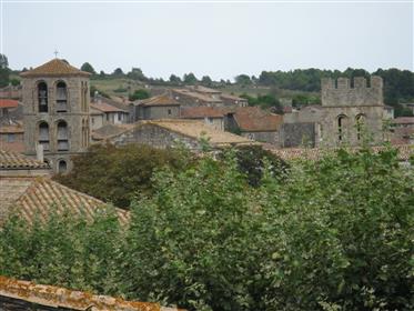 Wijngaard met wijnboerderij in de Languedoc-dorpshuis