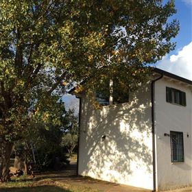 Country villa with land and pool at 25 km from Rome