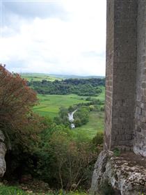 Torre medieval y restos de Castillo con parque en Tuscania 