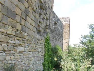 Tower og rester slot med Park i Tuscania