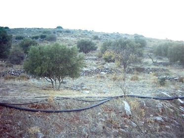 Pozemek v Epano Loumas na prodej