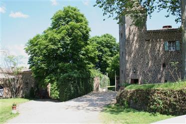 Fraai gelegen Château in zuid Frankrijk met eventueel een gite (10 personen)