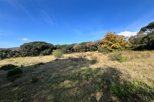 Additional image 2 of Sainte-Maxime (Var)