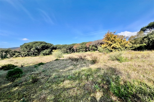 Additional image 6 of Sainte-Maxime (Var)