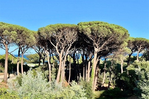 Additional image 5 of Sainte-Maxime (Var)