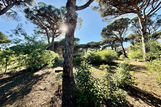 Additional image 3 of Sainte-Maxime (Var)