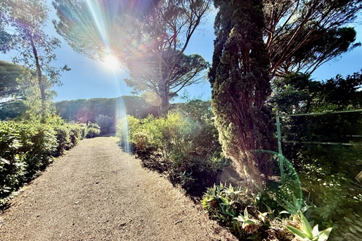 Additional image 4 of Sainte-Maxime (Var)