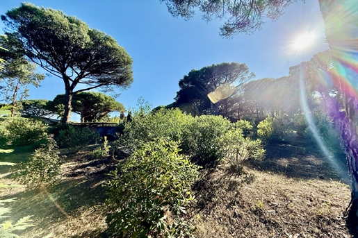Additional image 7 of Sainte-Maxime (Var)