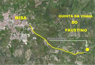 Quinta da προήλθε από Faustino
