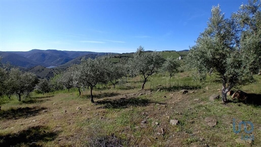 Ground in Freixo de Espada à Cinta e Mazouco with 45596,00 m²