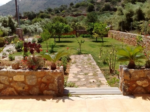 4 bedroom Villa with Olive grove. Near town and beaches.