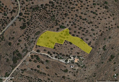 Seaview building land of 6442m2 in the area of Pines, near Elounda