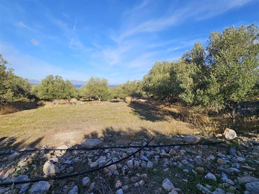 Terrain à bâtir rural à Kavousi, Crète