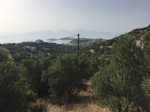 Seaside plot with seaviews and building license, Agios Nikolaos, Crete