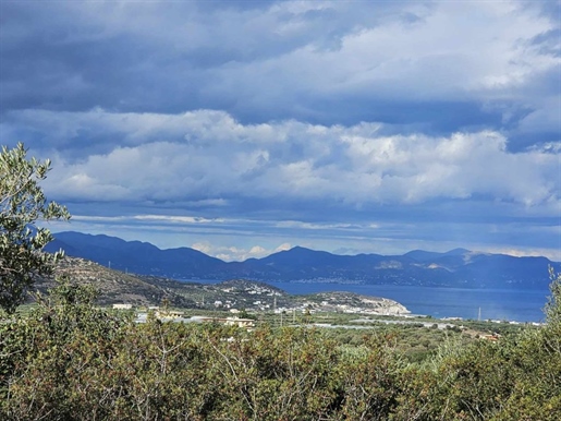 Οικόπεδο με θέα θάλασσα, νότια περιοχή του κόλπου του Μιραμπέλλου