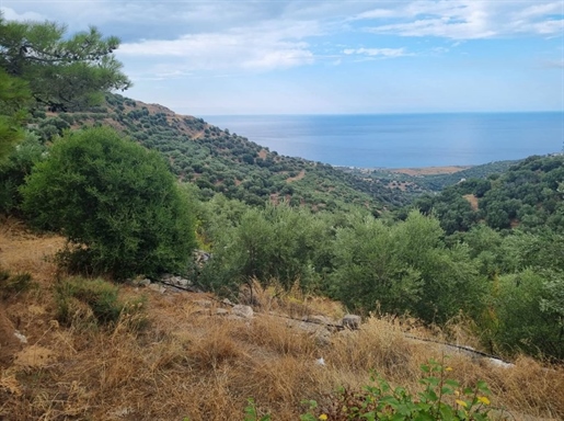 Terrain à bâtir surélevé avec vue sur la mer, nord-est de la Crète