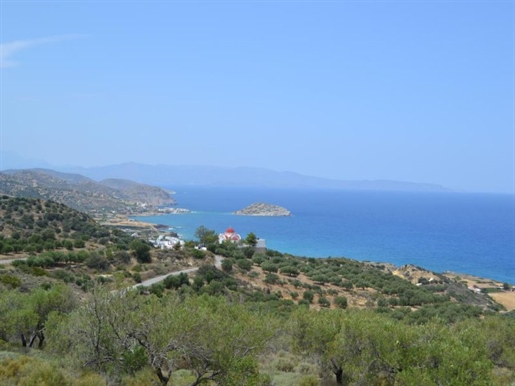 Seaside building land near Mochlos, 4590 m2, fantastic sea views
