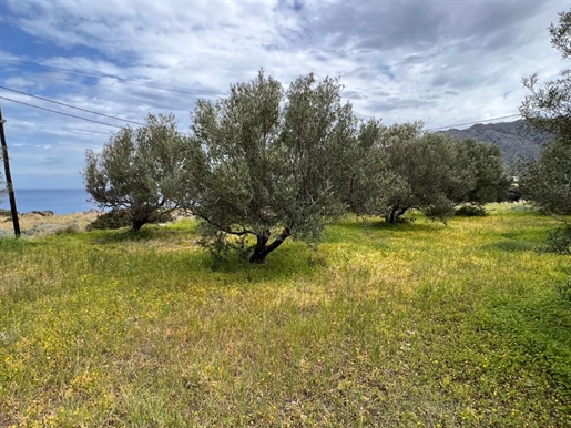 Οικόπεδο με θέα θάλασσα, περιοχή Μόχλος, Κρήτη