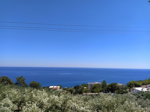 Baugrundstücke am Meer, Südküste Kretas