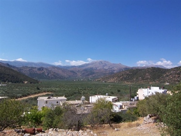 Terrain de 545 m2 dans le village près d’Agios Nikolaos. Crète
