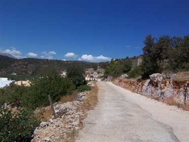 Terrain de 545 m2 dans le village près d’Agios Nikolaos. Crète