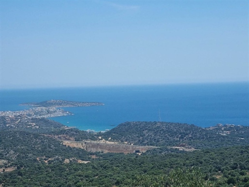 Baugrundstück mit Meerblick am Stadtrand von Agios Nikolaos