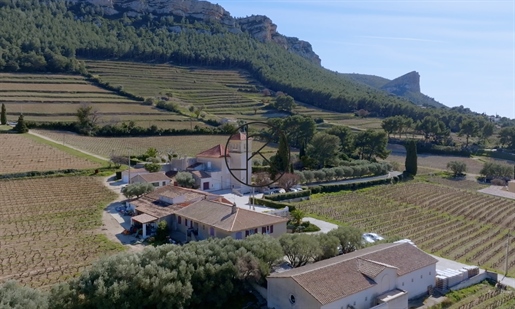 Außergewöhnliches Weingut von ca. 39 Hektar Cassis