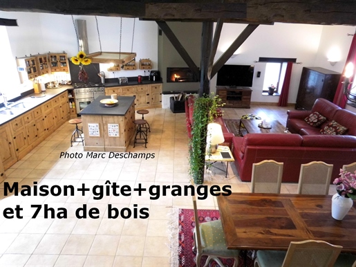 Immaculate! Property ~340m2 including: Large house+ 3 bed gîte,+ barns, outbuildings, wells,on 4617m