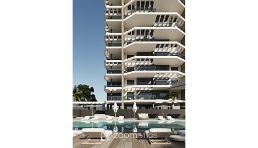 Purchase: Apartment (03710)