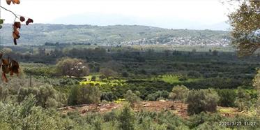 Jord til salg på Stylos-Chania Kreta