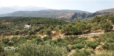 Land for sale at Stylos-Chania Crete
