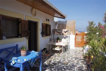 Maison bien entretenue avec un champ d’oliviers en Grèce, l’île de KARPATHOS 