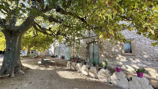 Alpilles Sud, agricultural property on 1.3 hectares