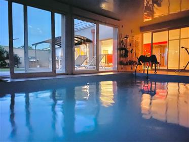 Ruime, zonnige en lichte moderne villa met ontspanningsruimte zwembad en 2 onafhankelijke studio's