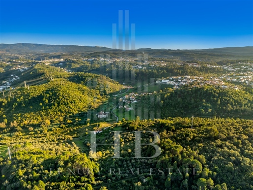 Land für Investitionstourismus oder Wohnprojekt - Coimbra