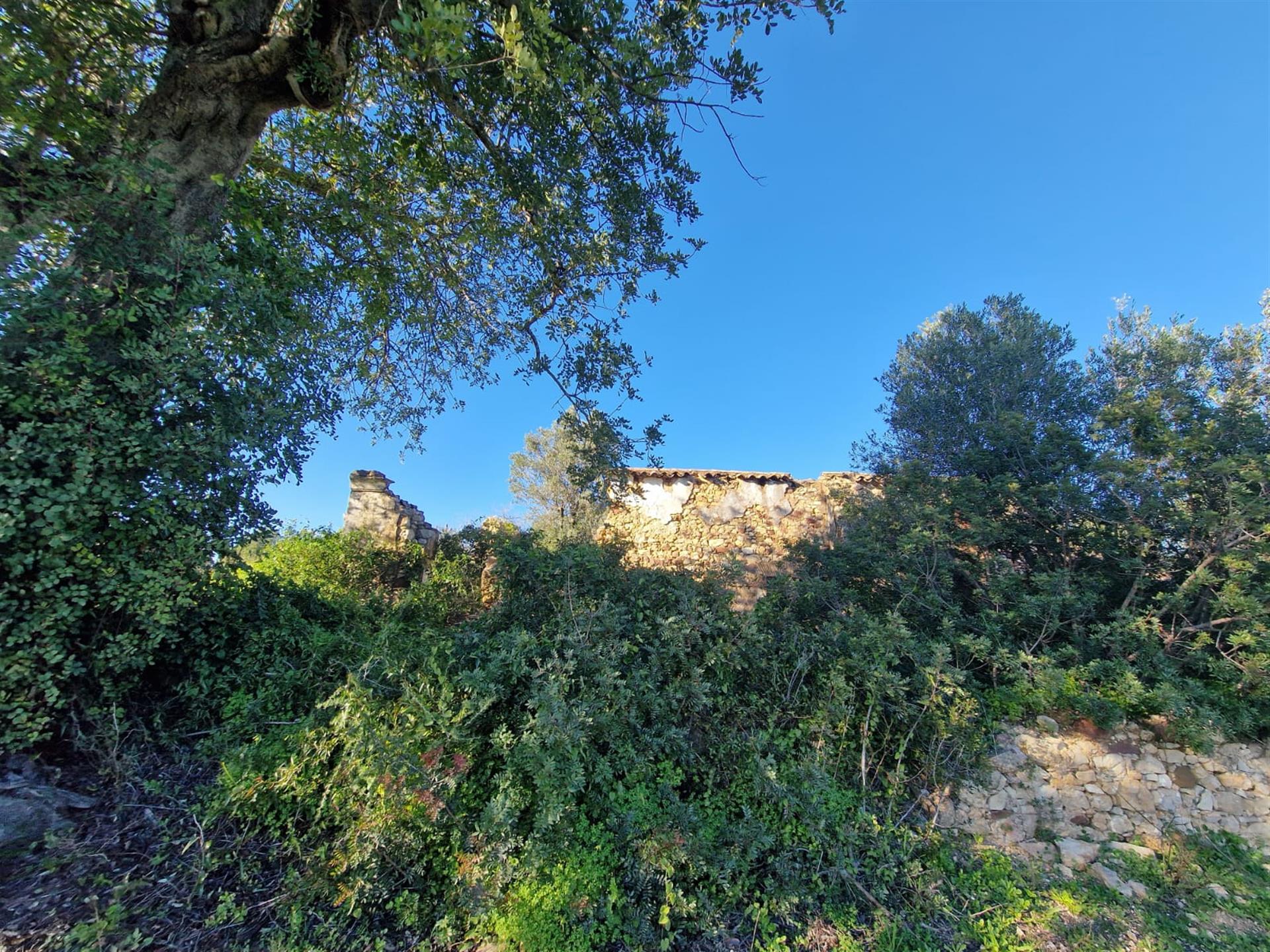 Plot Of Land Of 15.000,00 Sq.M. With A Project Approved For Development Of Two Independent Semi-Deta