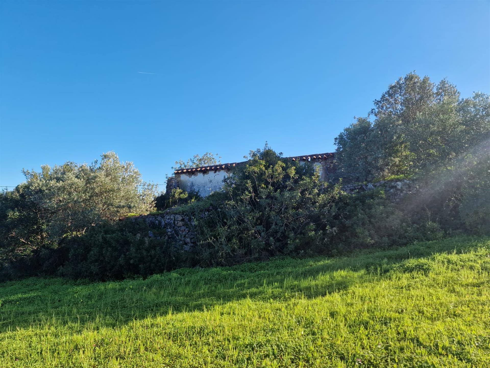 Plot Of Land Of 15.000,00 Sq.M. With A Project Approved For Development Of Two Independent Semi-Deta